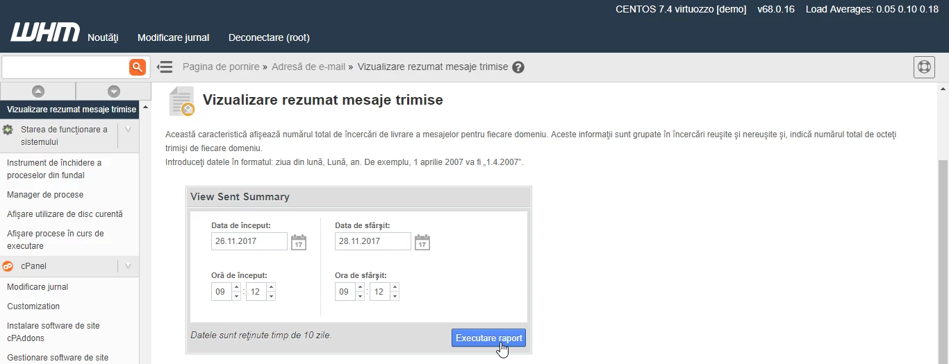 Vizualizare rezumat executare raport